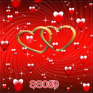 5'x8' SS089